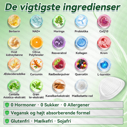 Oficiální vlajkový obchod | 👍👍 GLORENDA® Moringa · Berberin × NAD+ 10-2-0 Advanced Nano Microneedle Patch 🇩🇰 (Stačí jedna aplikace denně – viditelné výsledky za 7 dní)