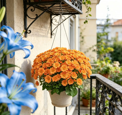 ⚡Poslední den 70% SLEVA🌼Vítejte na podzim - Umělé květiny pro venkovní maminky při západu slunce - odolné vůči UV záření, voděodolné, větruodolné